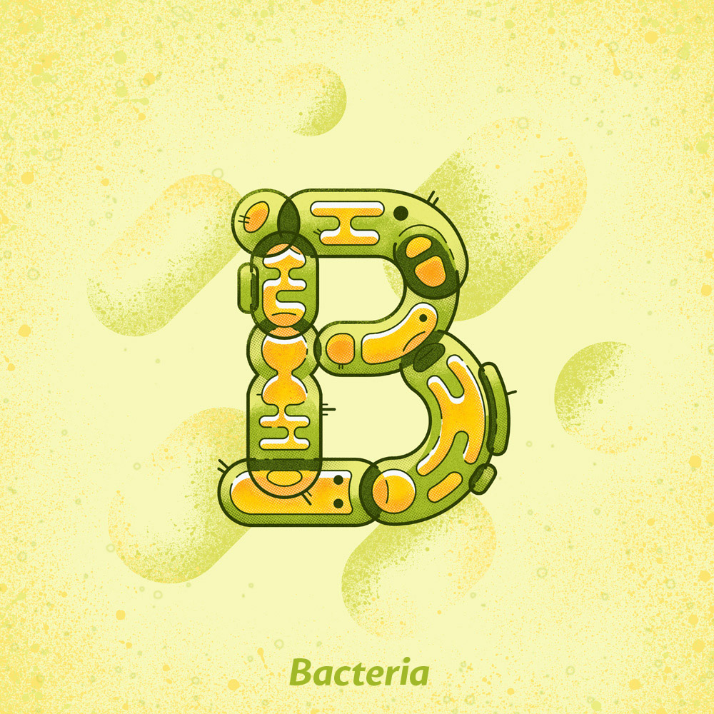 bacteria-popisek-web